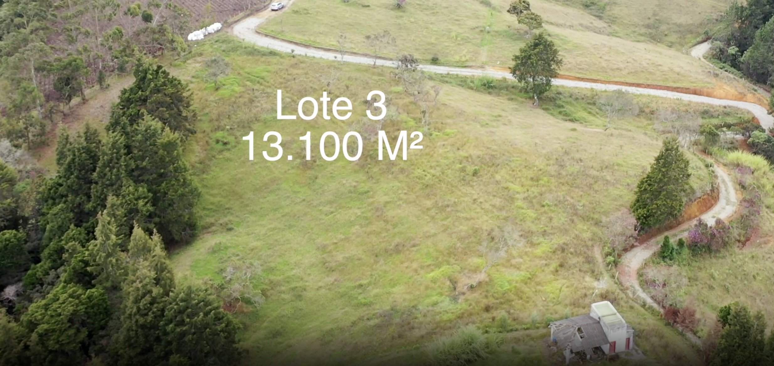 Lote 3