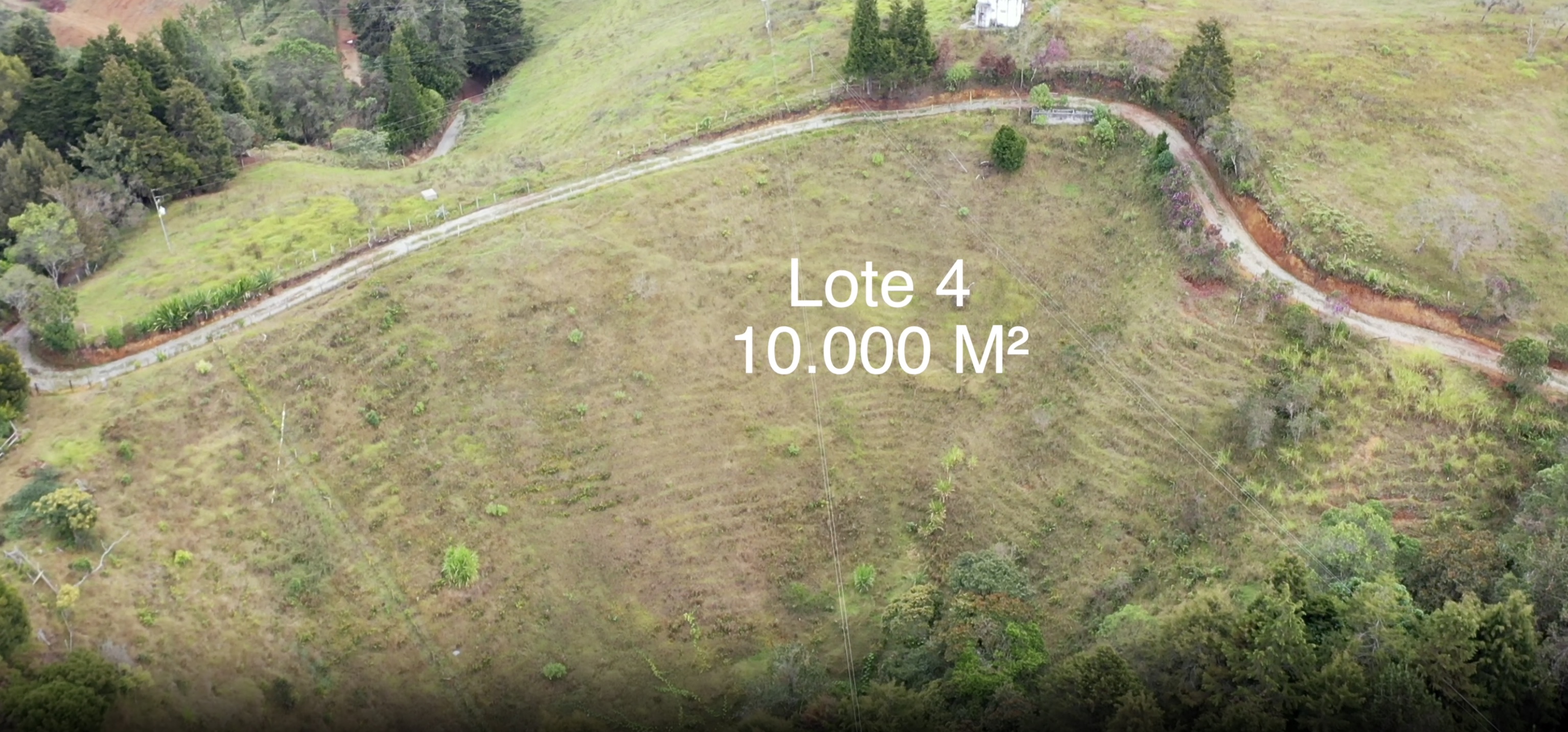 Lote 4