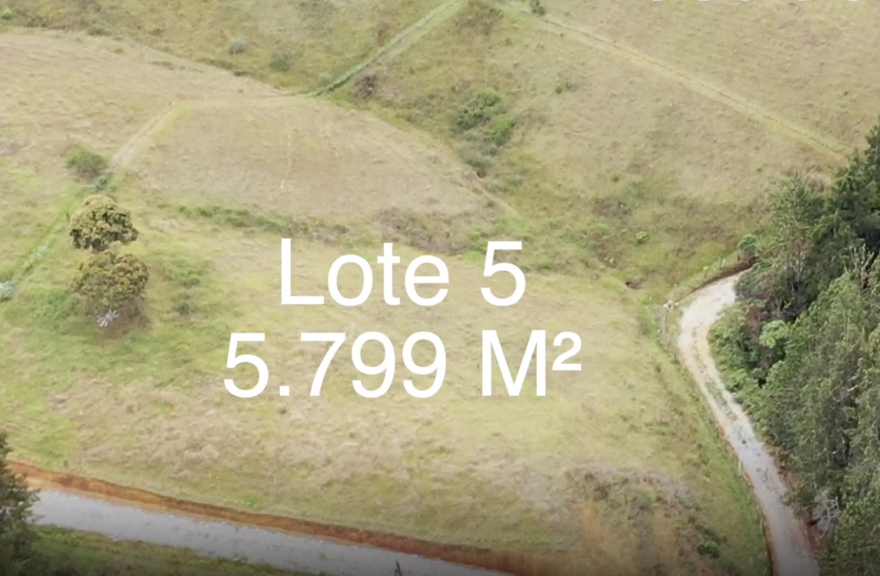 Lote 5